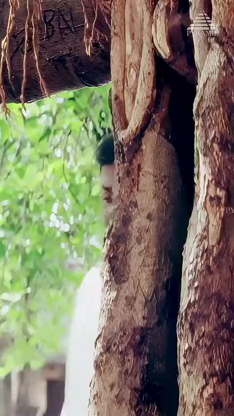@💘💘 காதல் நிலா 💘 💘