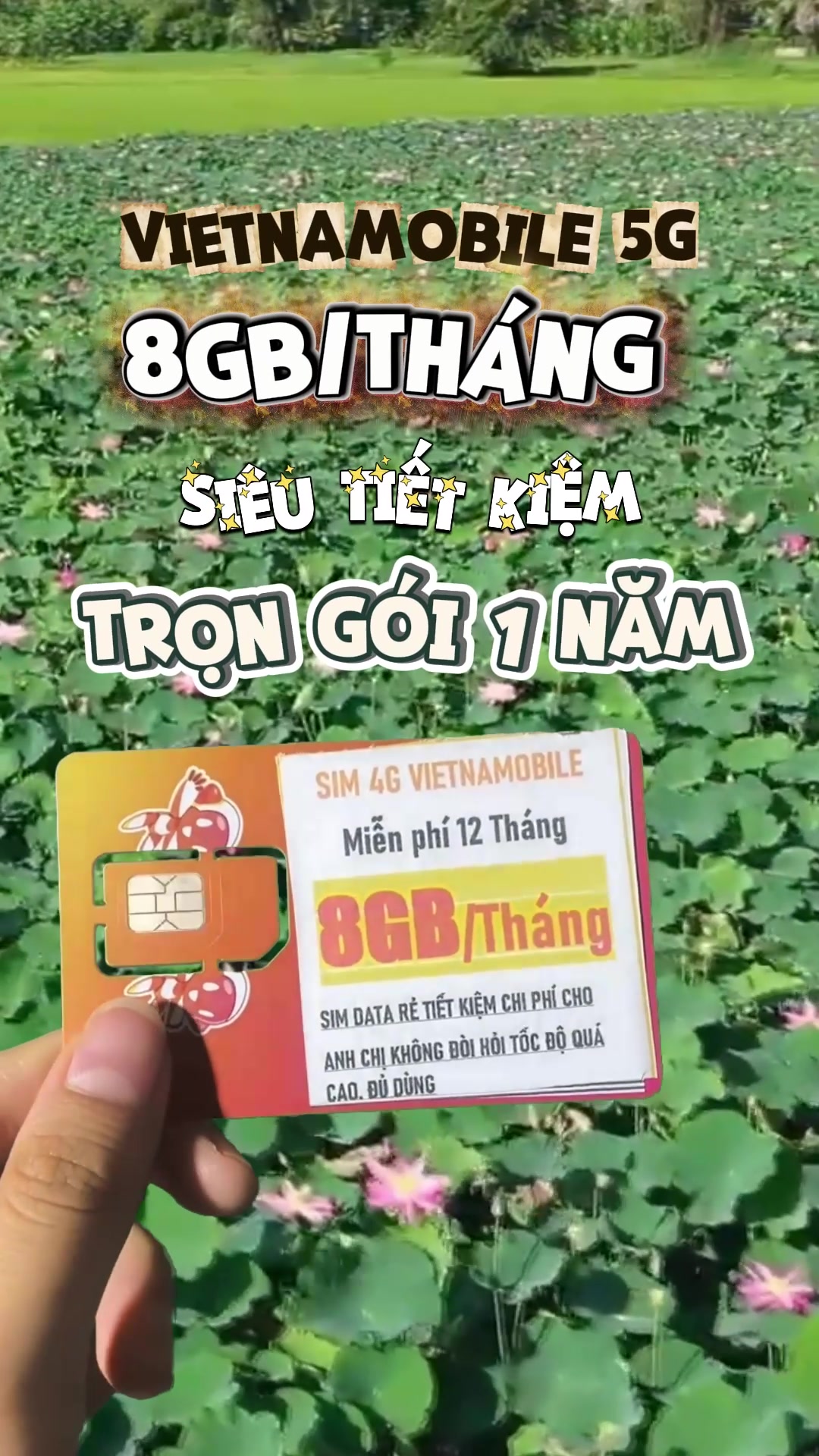 @Sim Khánh Vy