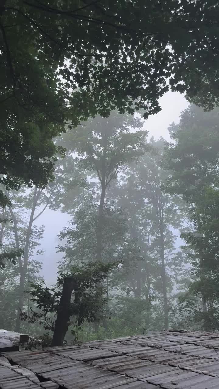 @گل راج بیگم