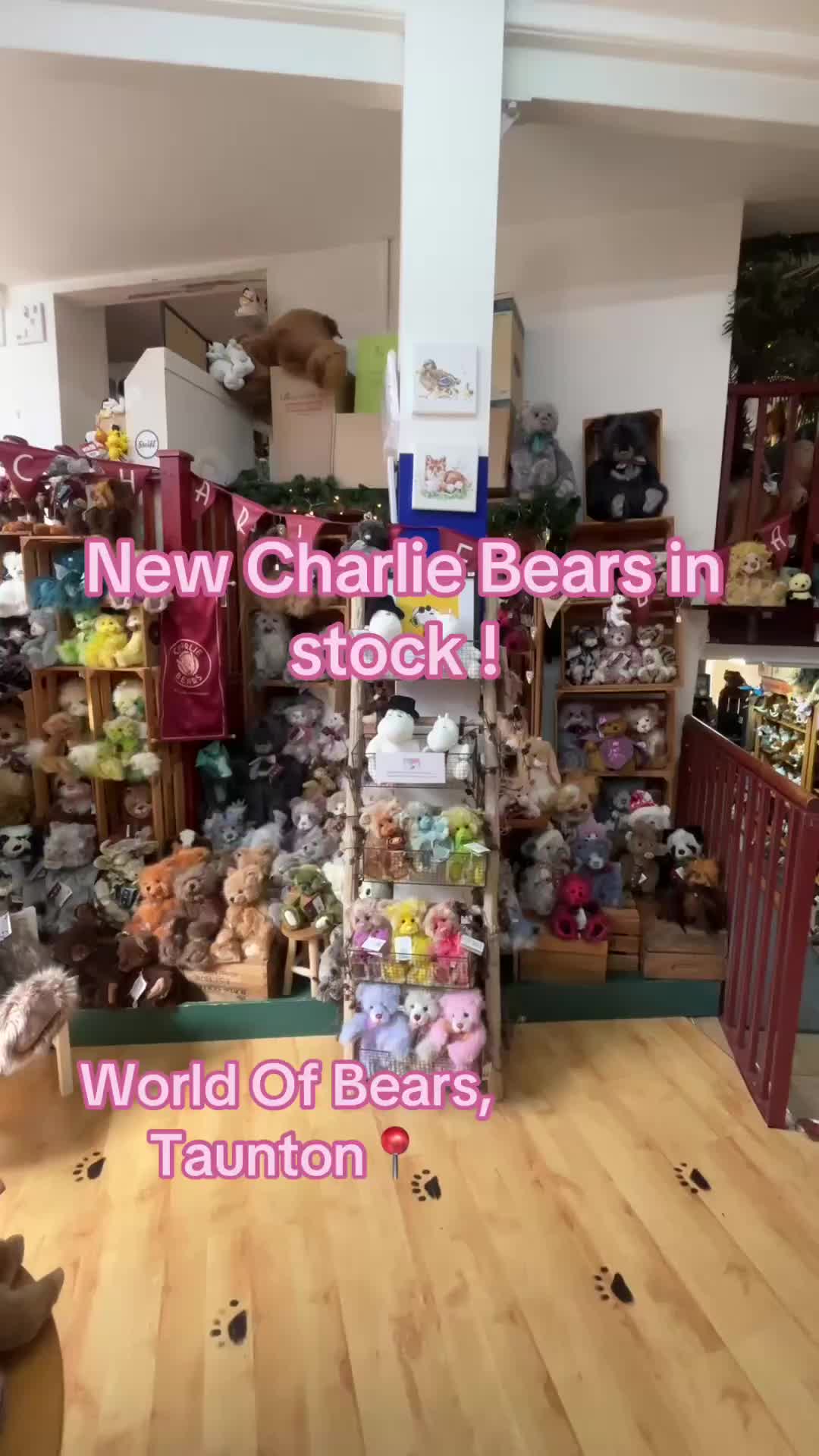 @World of Bears