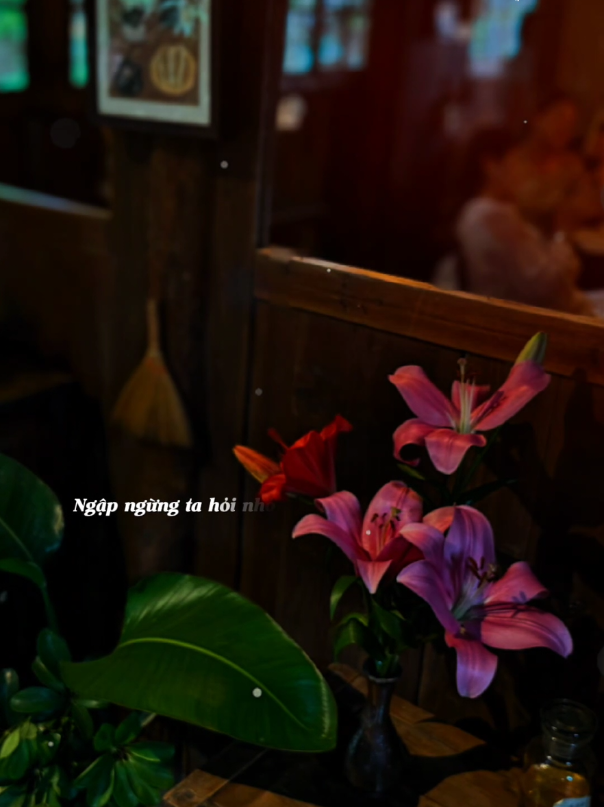 @🎶Góc Phố Âm Nhạc 🇻🇳