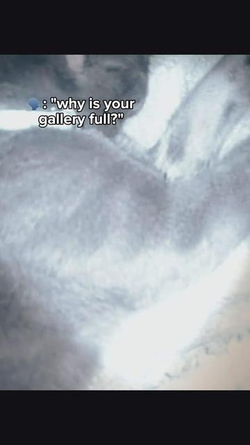 @catmomjailee123