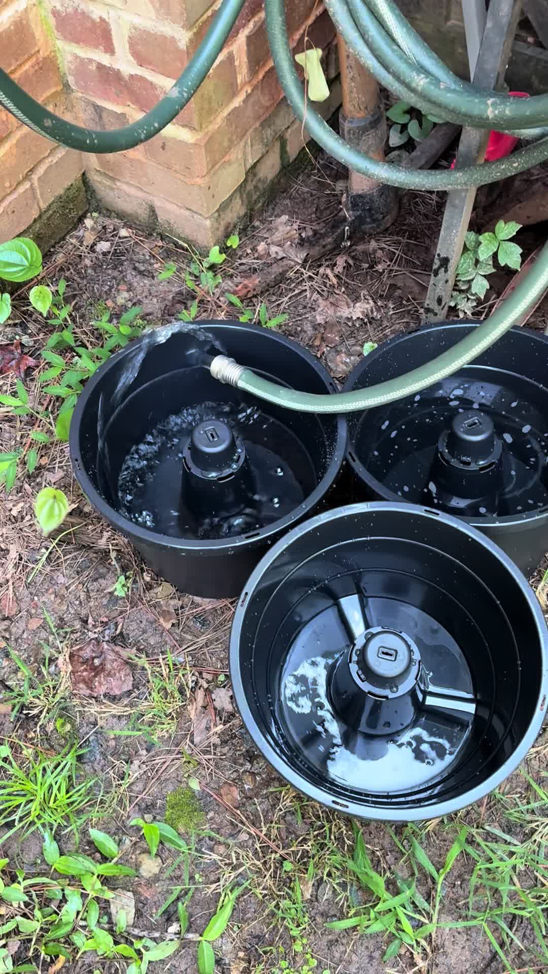 @frontporchchatter