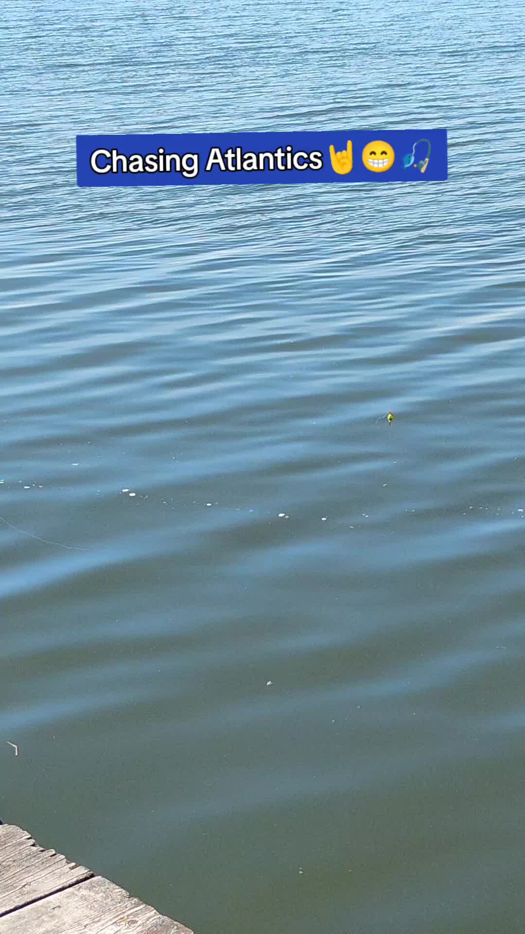 @RiverOtter3