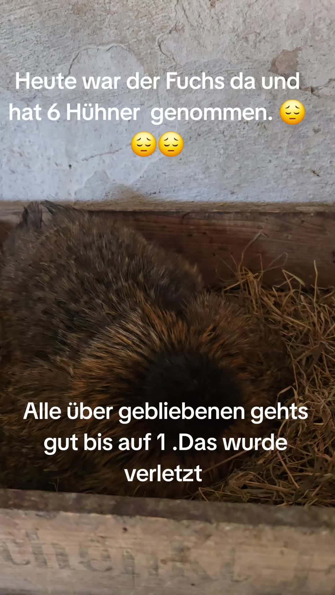 @Mandy-Katharina Neis