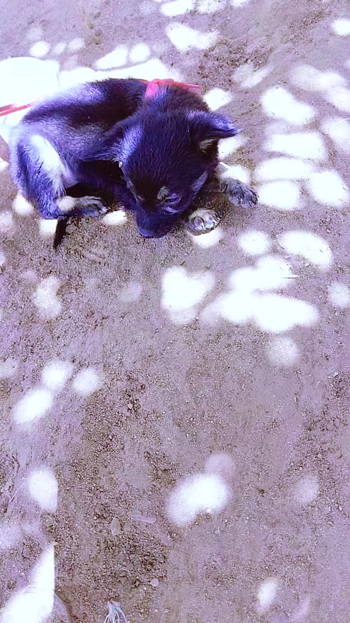 @꧁❤ammU꧁❤꧂