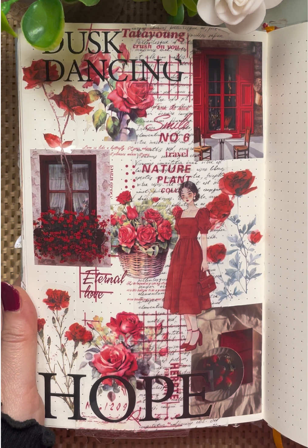 @Journal by Shosho