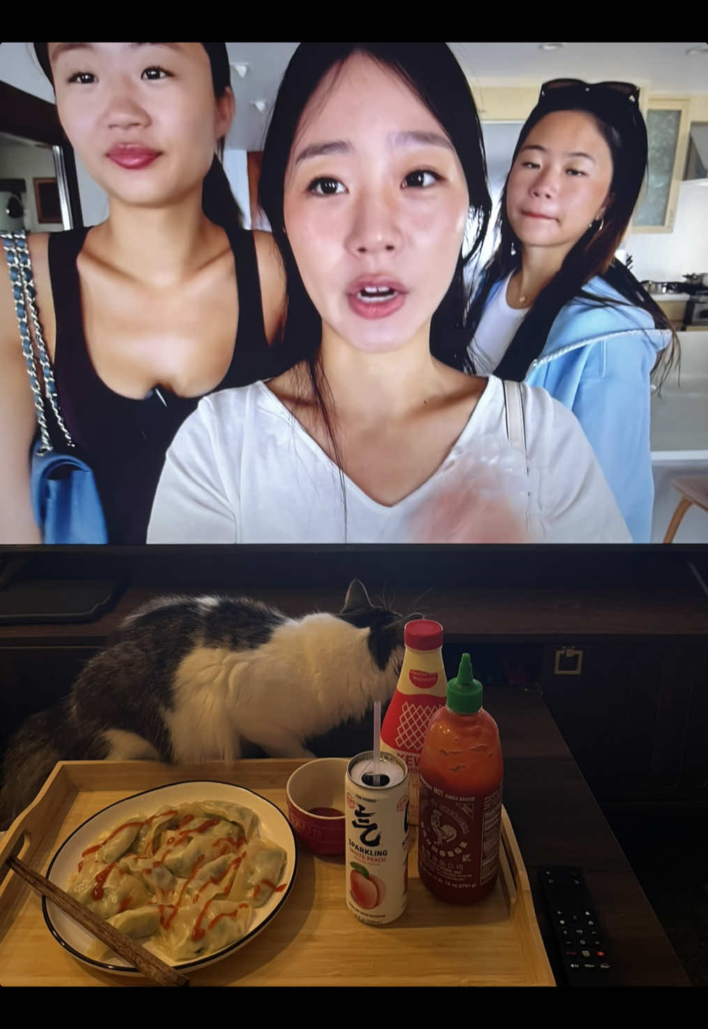 @stacy ๐งโ๏ธ