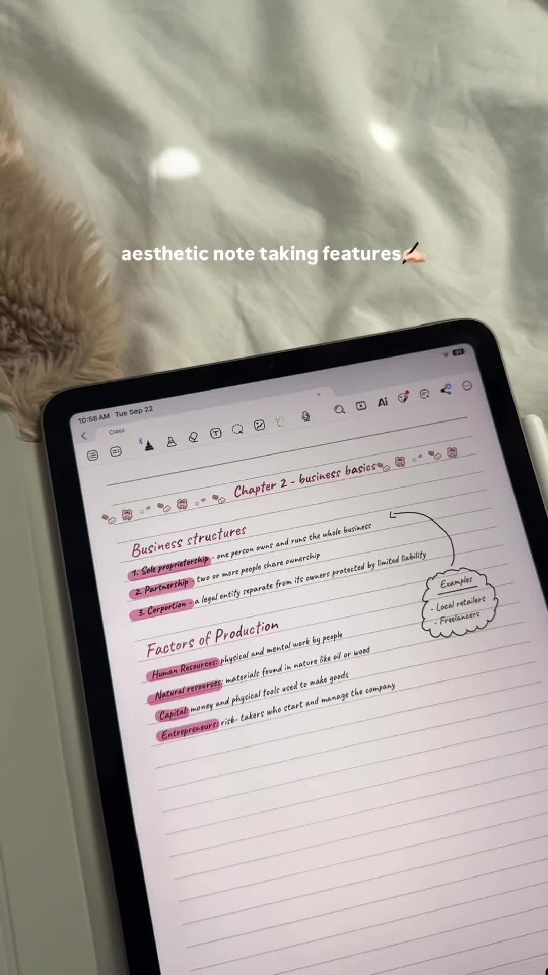 @stefania