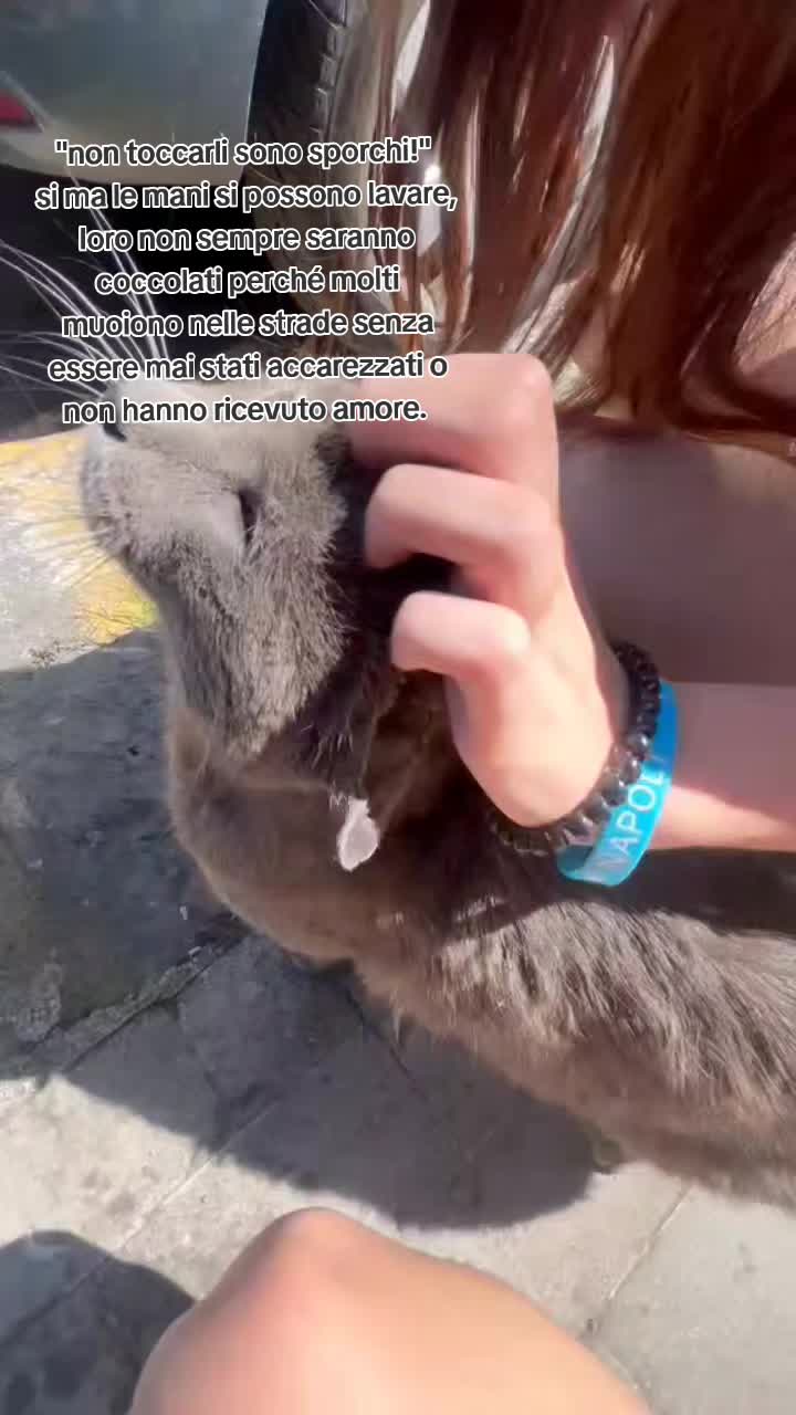 @メ𝟶