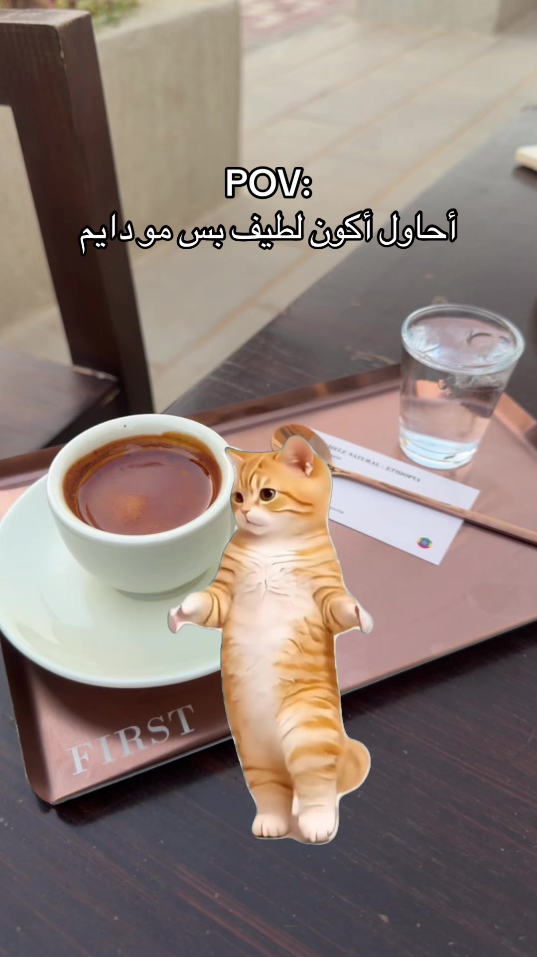 @بنت الخالدي ˚⋆𐙚。⋆。
