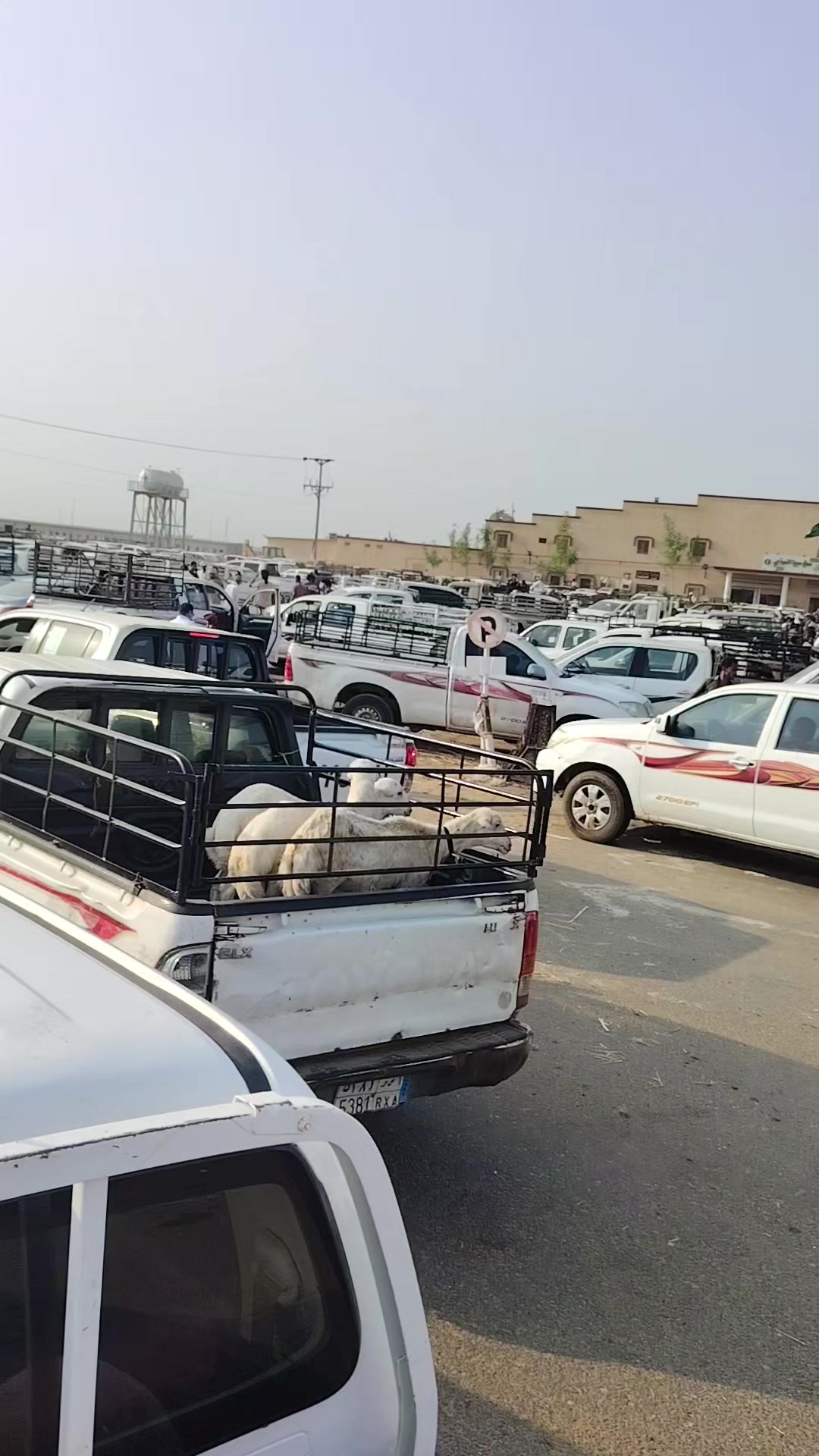 @نجم الظلام
