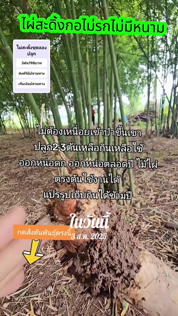 @นัดดาชอป