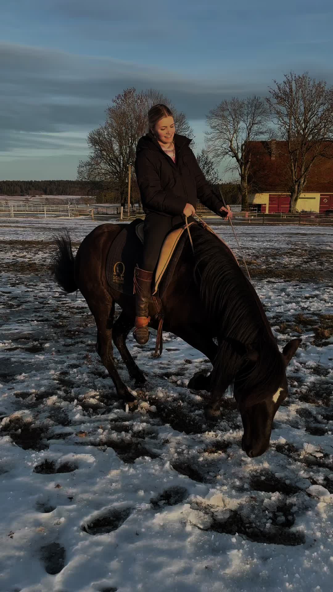 @Alena🤠