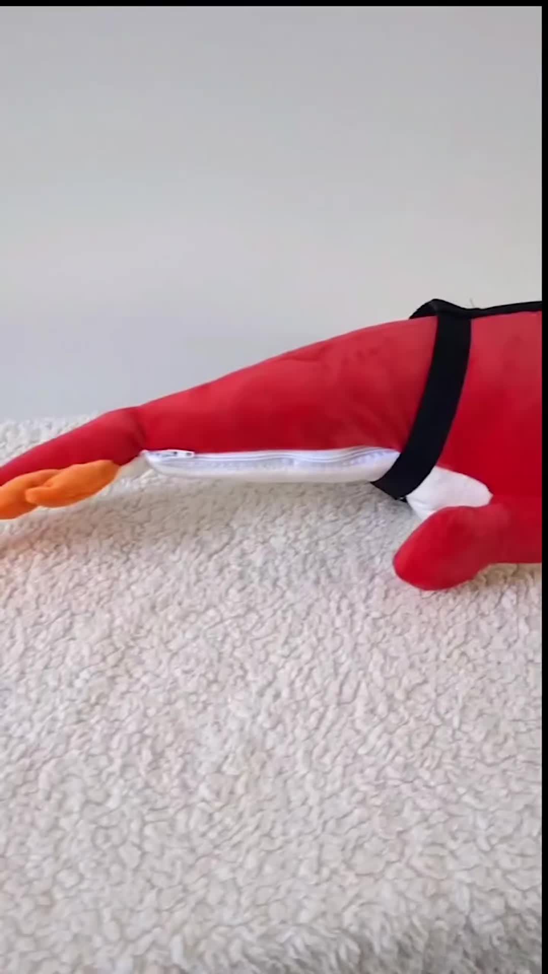 @KITJUNE