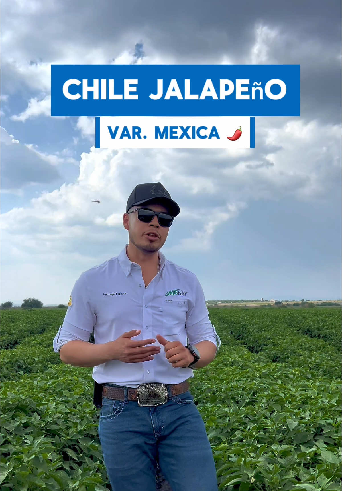 @agroboy_mx