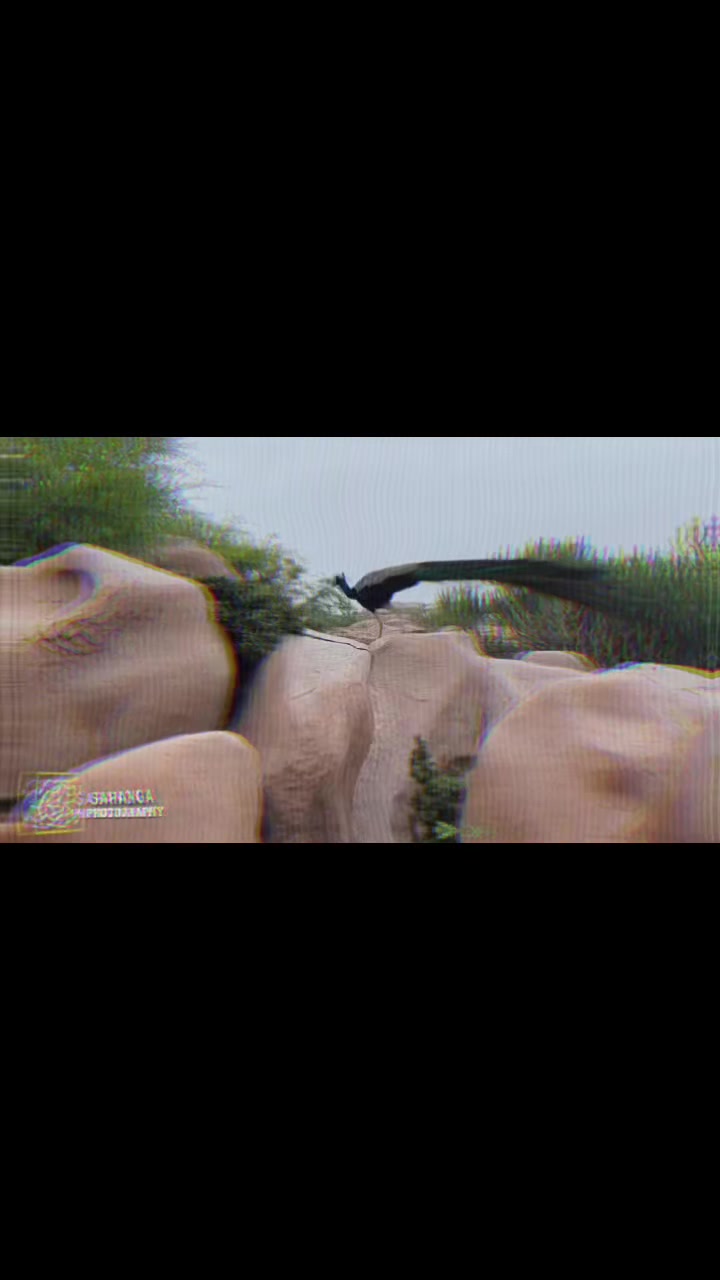 @ونود ڪمار ✌🏻