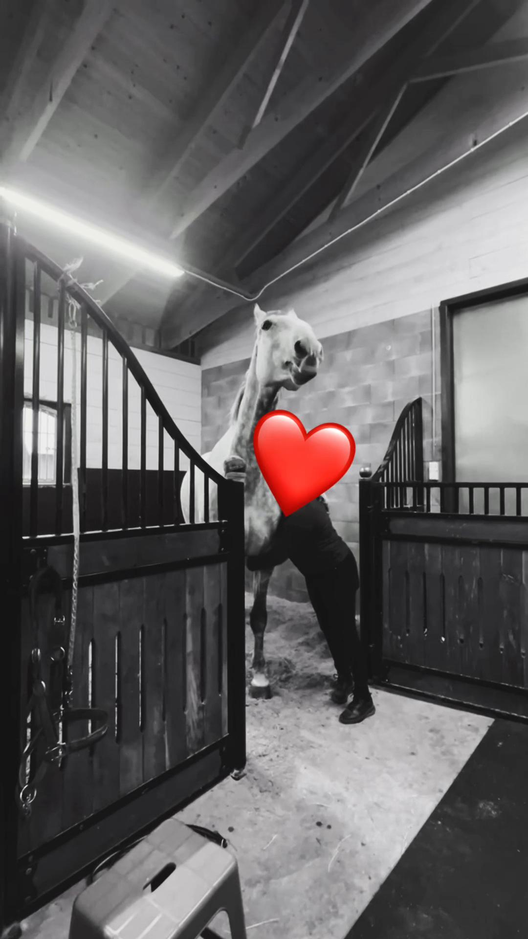 @🇸🇪🦄𝓔𝓵𝓲𝓷 𝓔𝓭𝓺𝓿𝓲𝓼𝓽