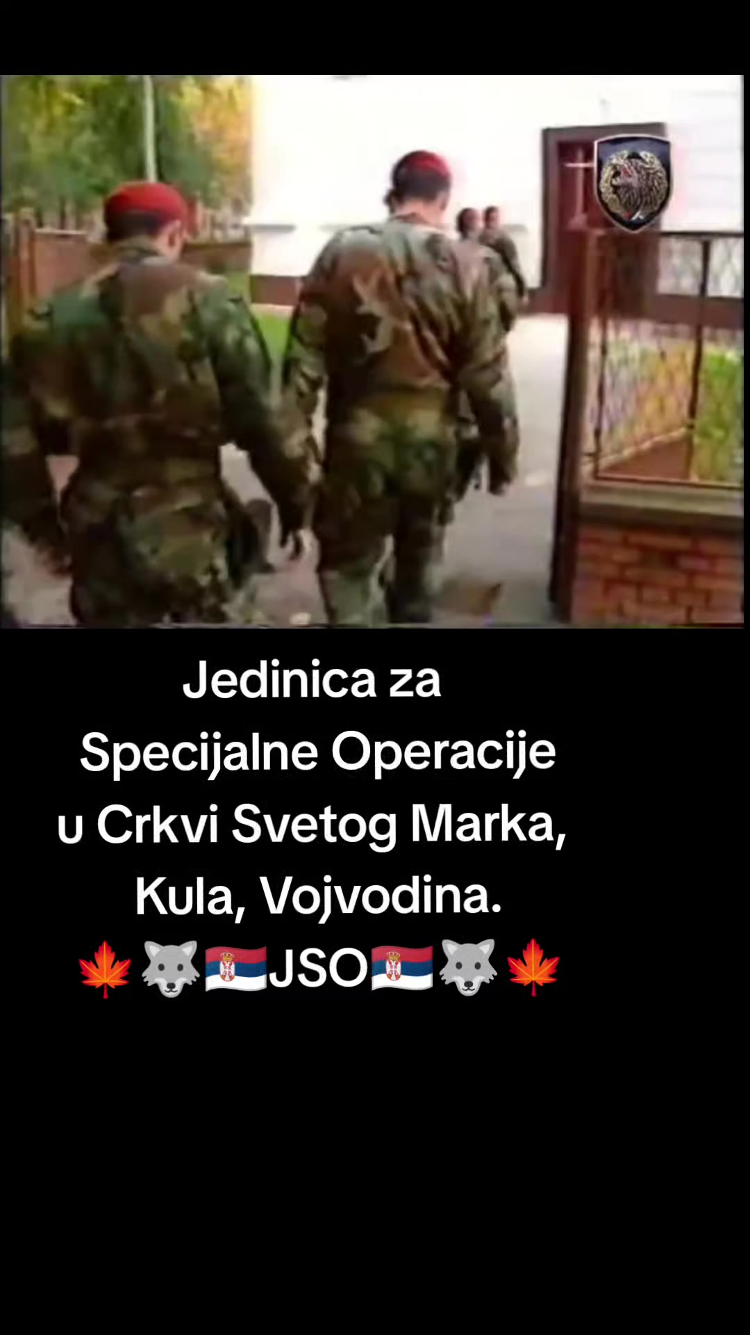 @vidar_rs