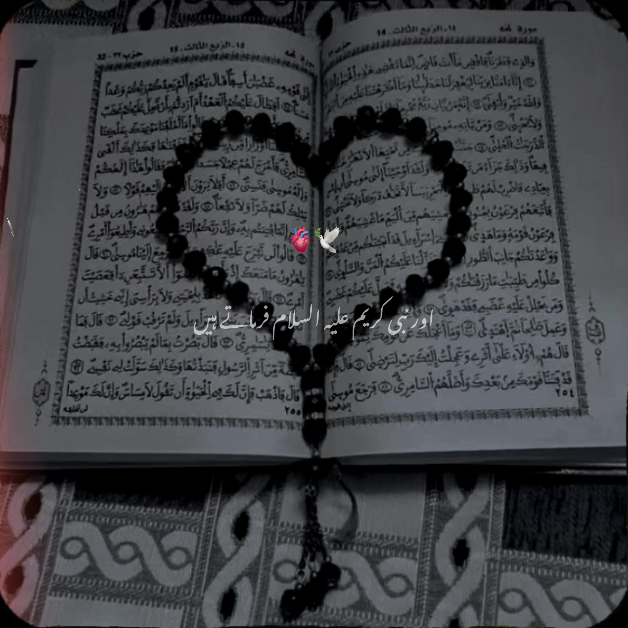 @𝙄𝙨𝙡𝙖𝙢𝙞𝙘 𝙫𝙞𝙙𝙚𝙤🤍🕊️