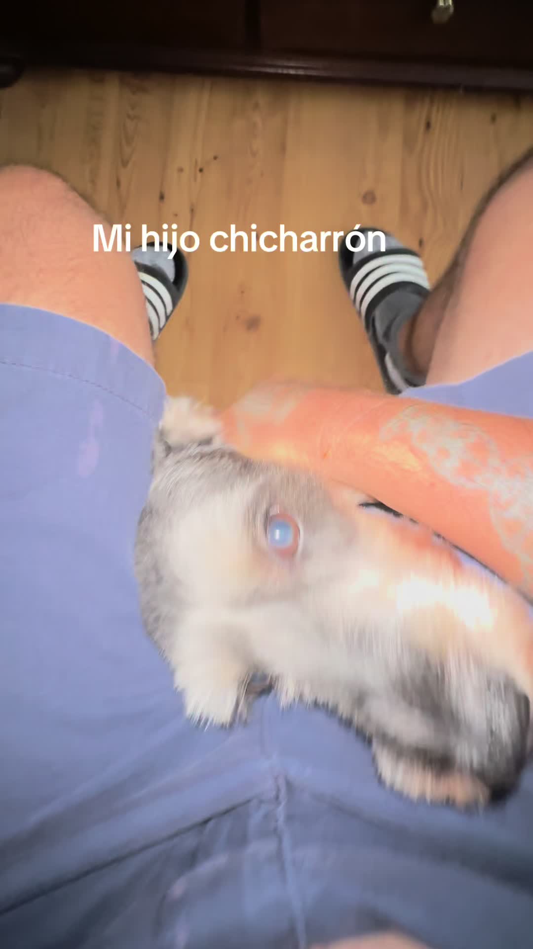 @Elcharitoopemex
