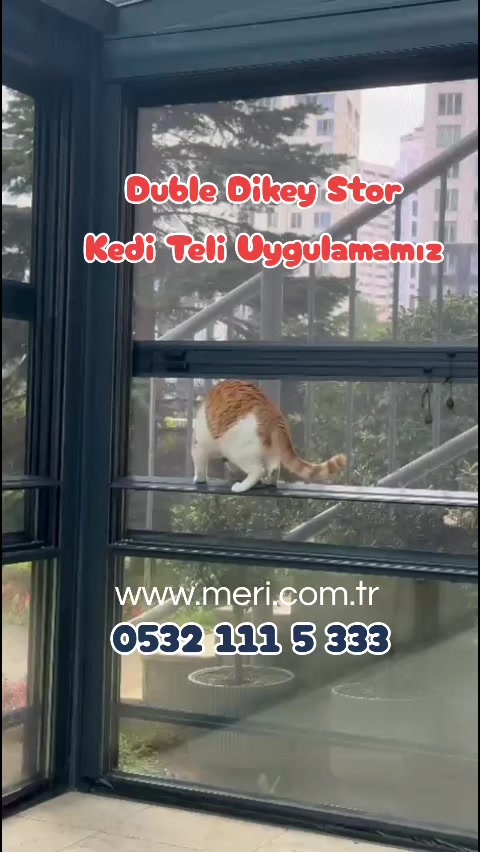 @Meri Sineklik İsmail Kurt