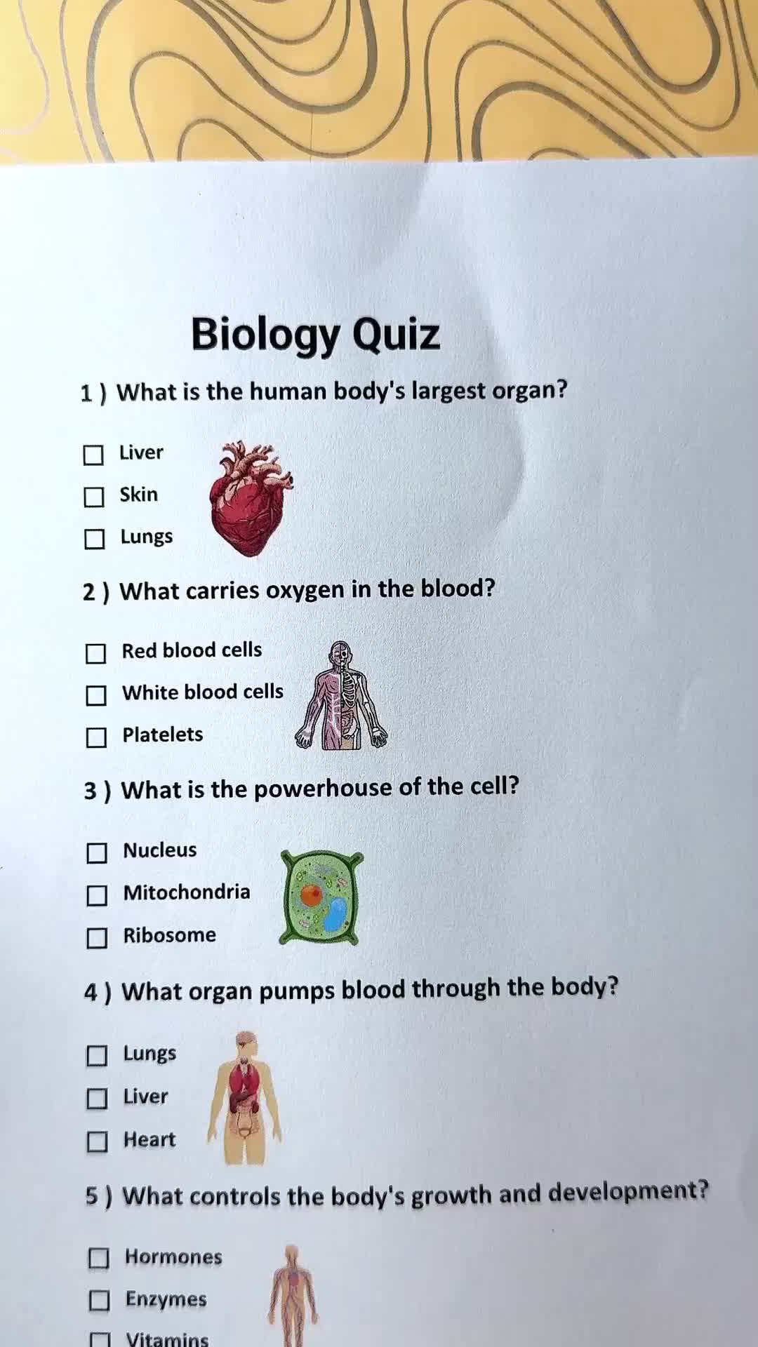 @Daily Quiz