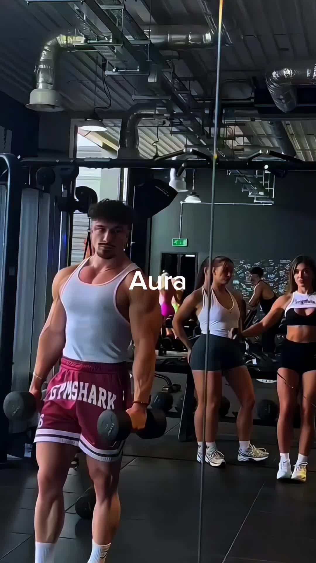 @Shark Gym