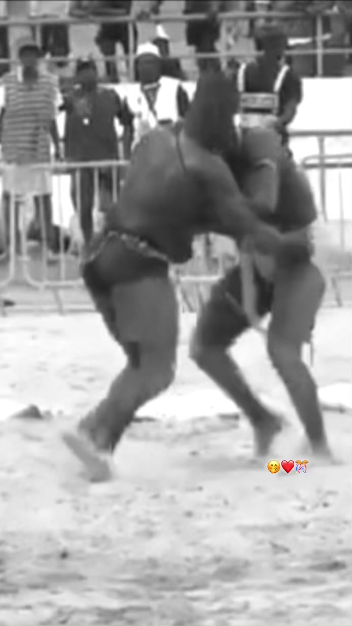 @𝓐𝓶𝓮 𝓫𝓸𝓾 𝓟𝓻𝓲𝓷𝓬𝓮🦁❤️