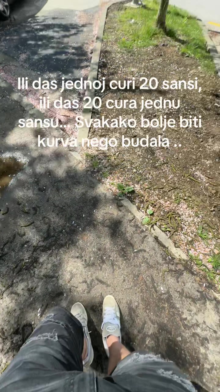 @Vdovic