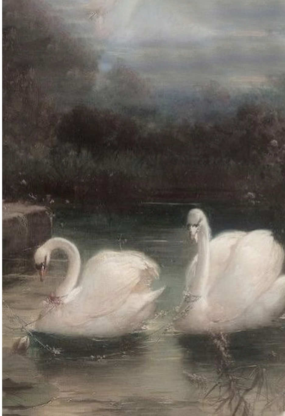 @𝜗𝜚𝔰𝔞𝔶𝔬𝜗𝜚