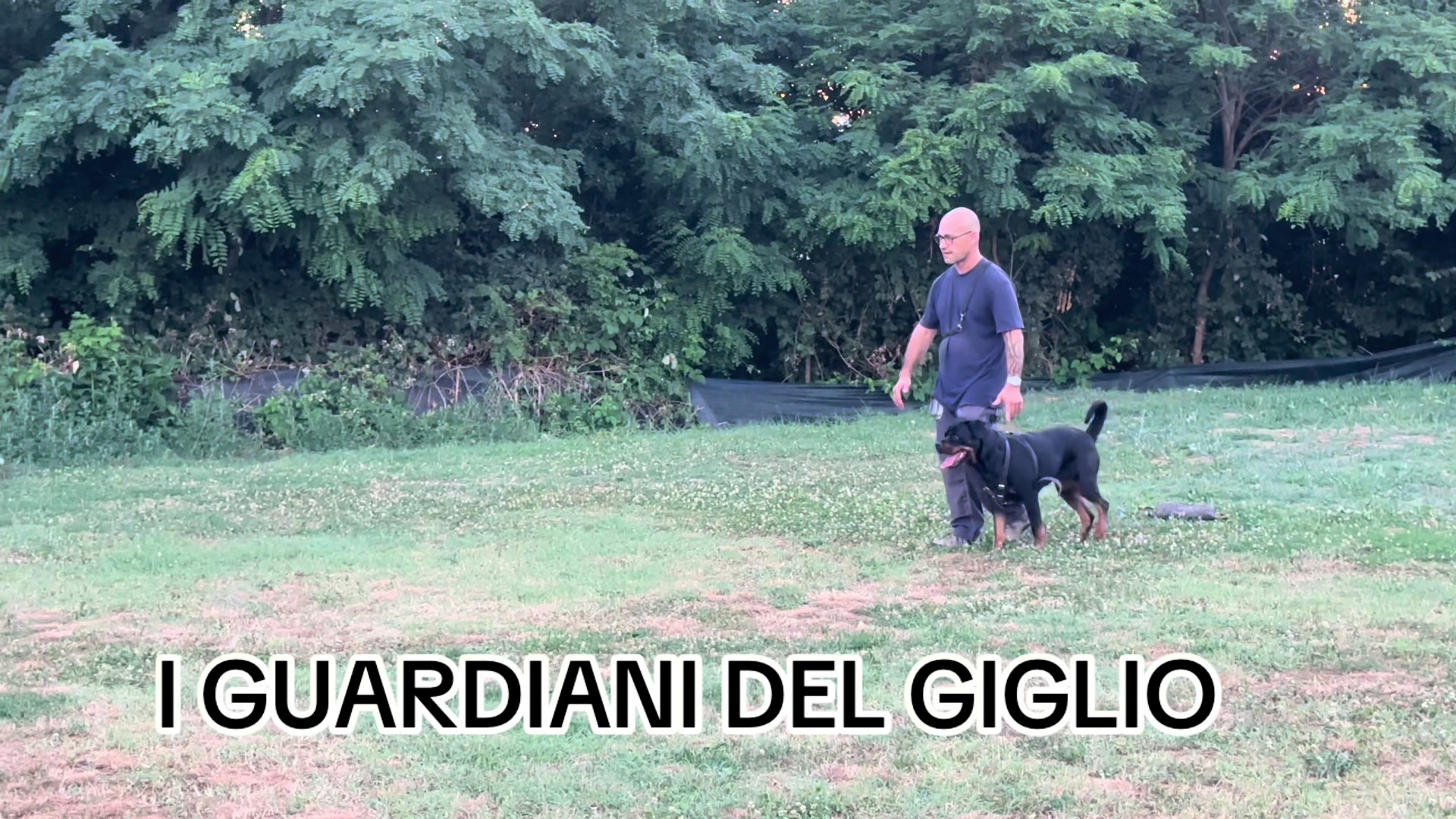 @I Guardiani Del Giglio-Rott