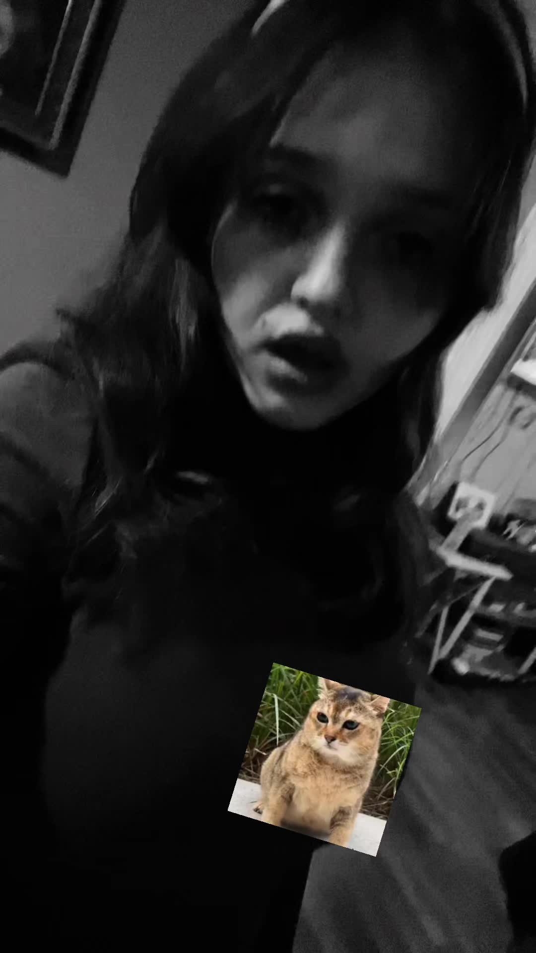 @🪲𝓋𝒾𝒸𝓉ℴ𝓇𝒾𝒶𓆣(go to him)