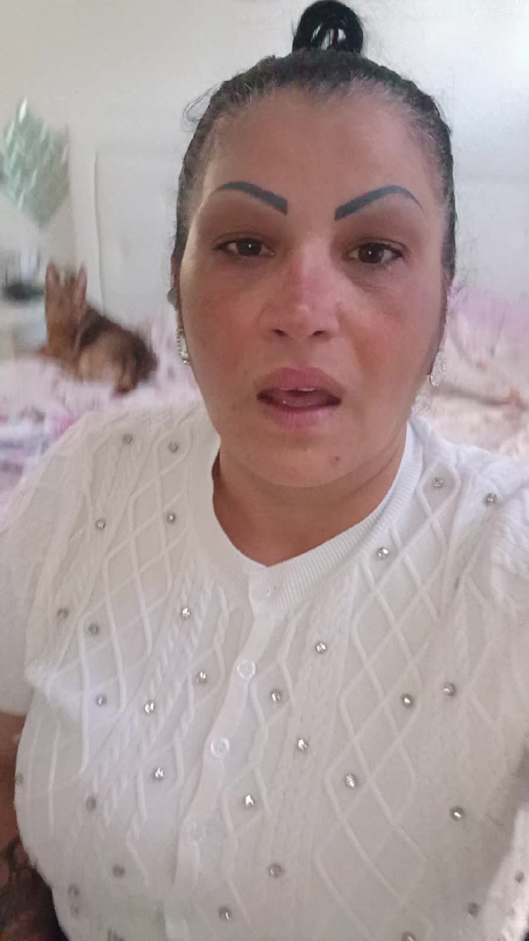 @stefania