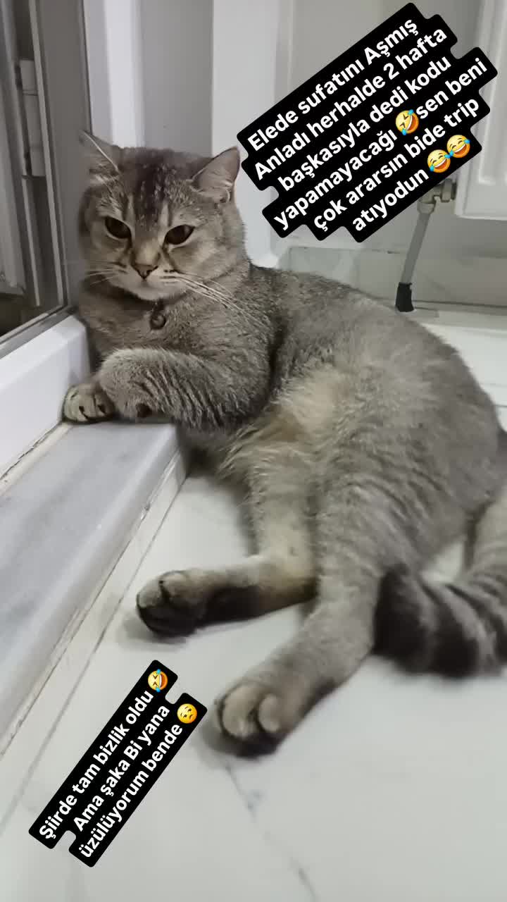 @Dadaşkızı..25..16