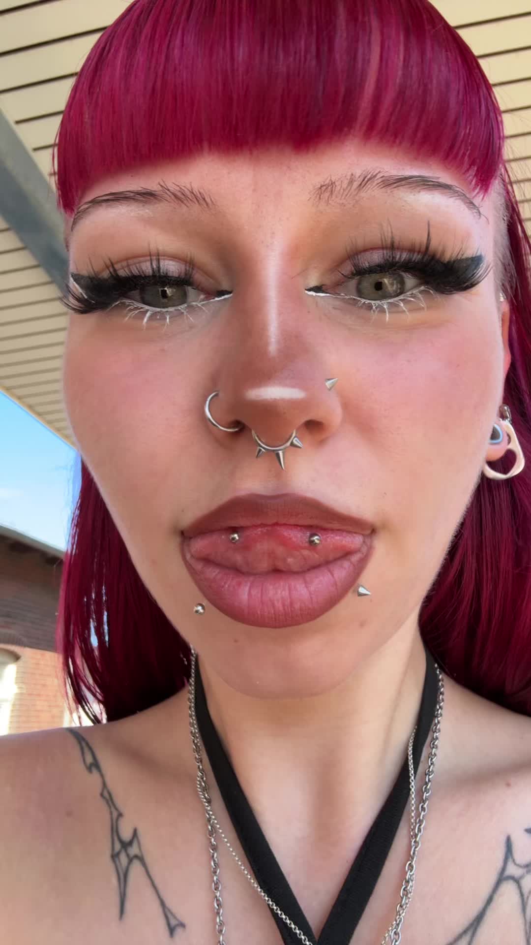 @≽^•༚•🎀≼