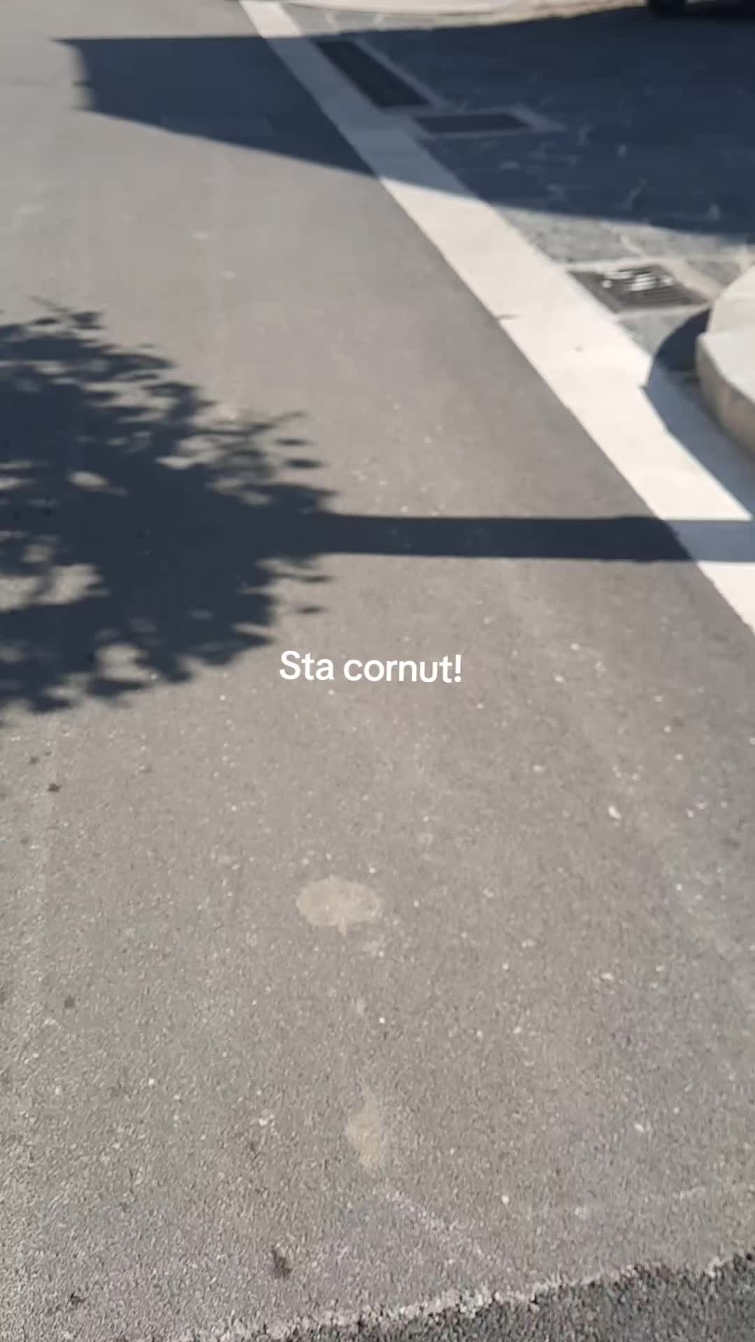 @mariapinasalerno🎀