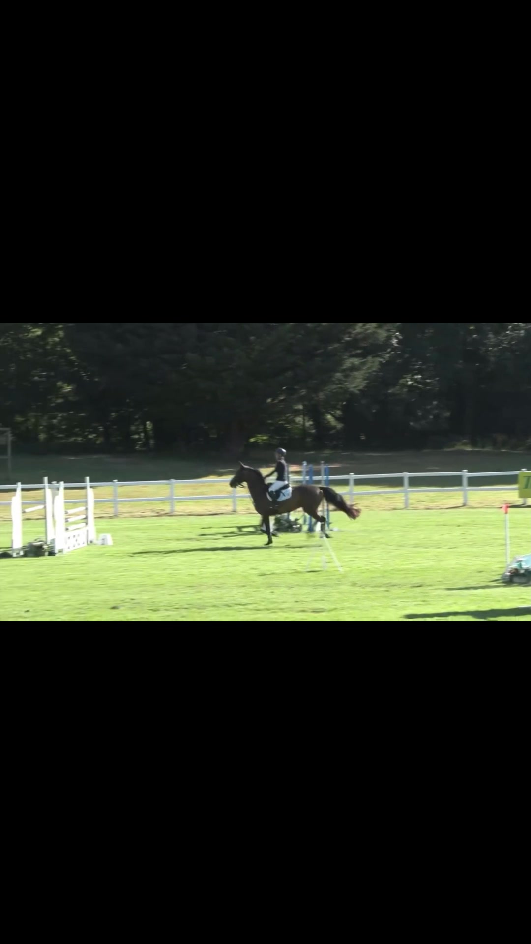 @cedequestrian