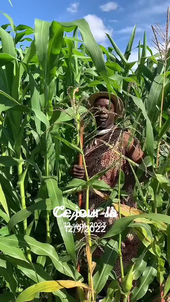 @Ikirundi CAbarundi
