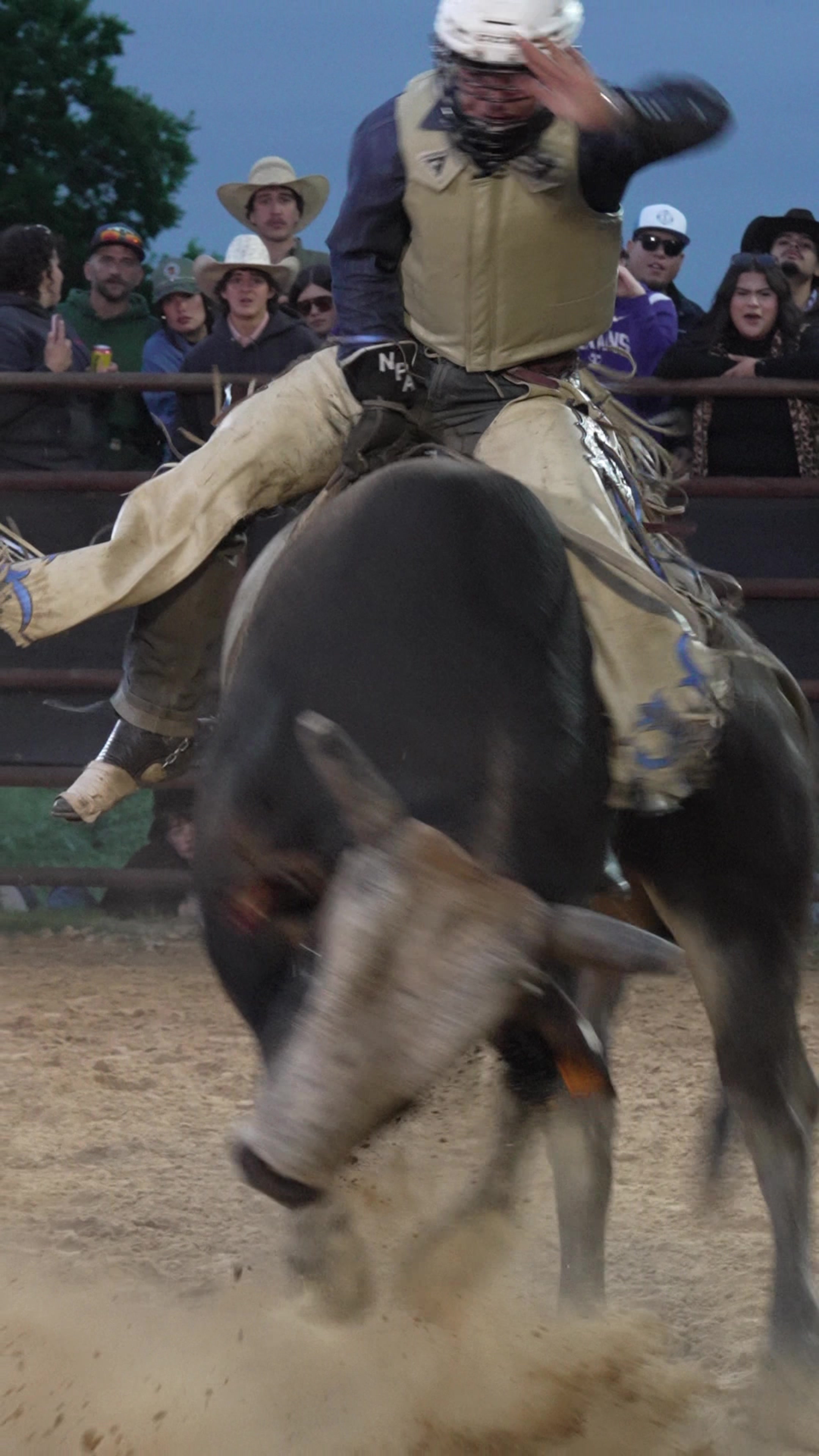 @Talk Rodeo To Me