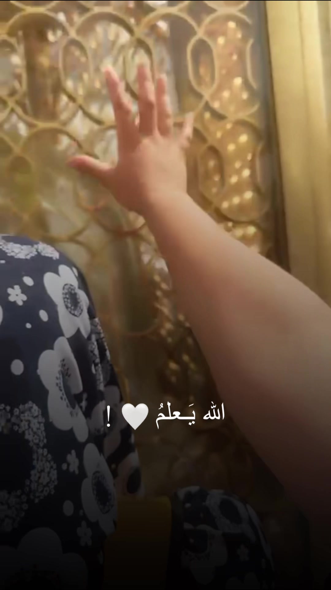 @ayanbfd7x🌟