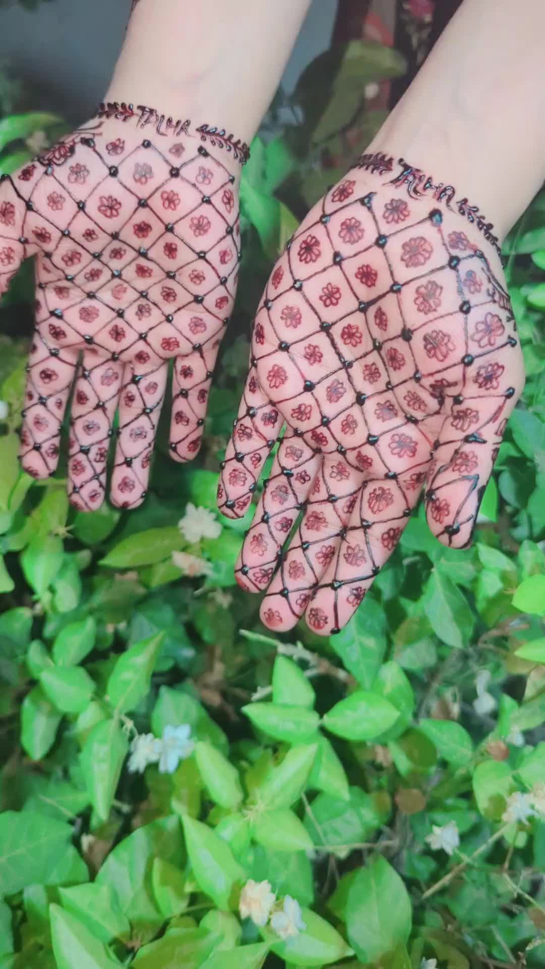 @saminaali041