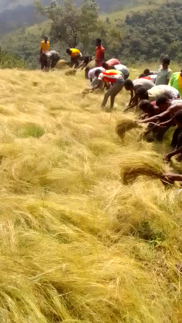 @𝐀𝐍𝐔𝐖𝐀𝐑 𝟓𝐆