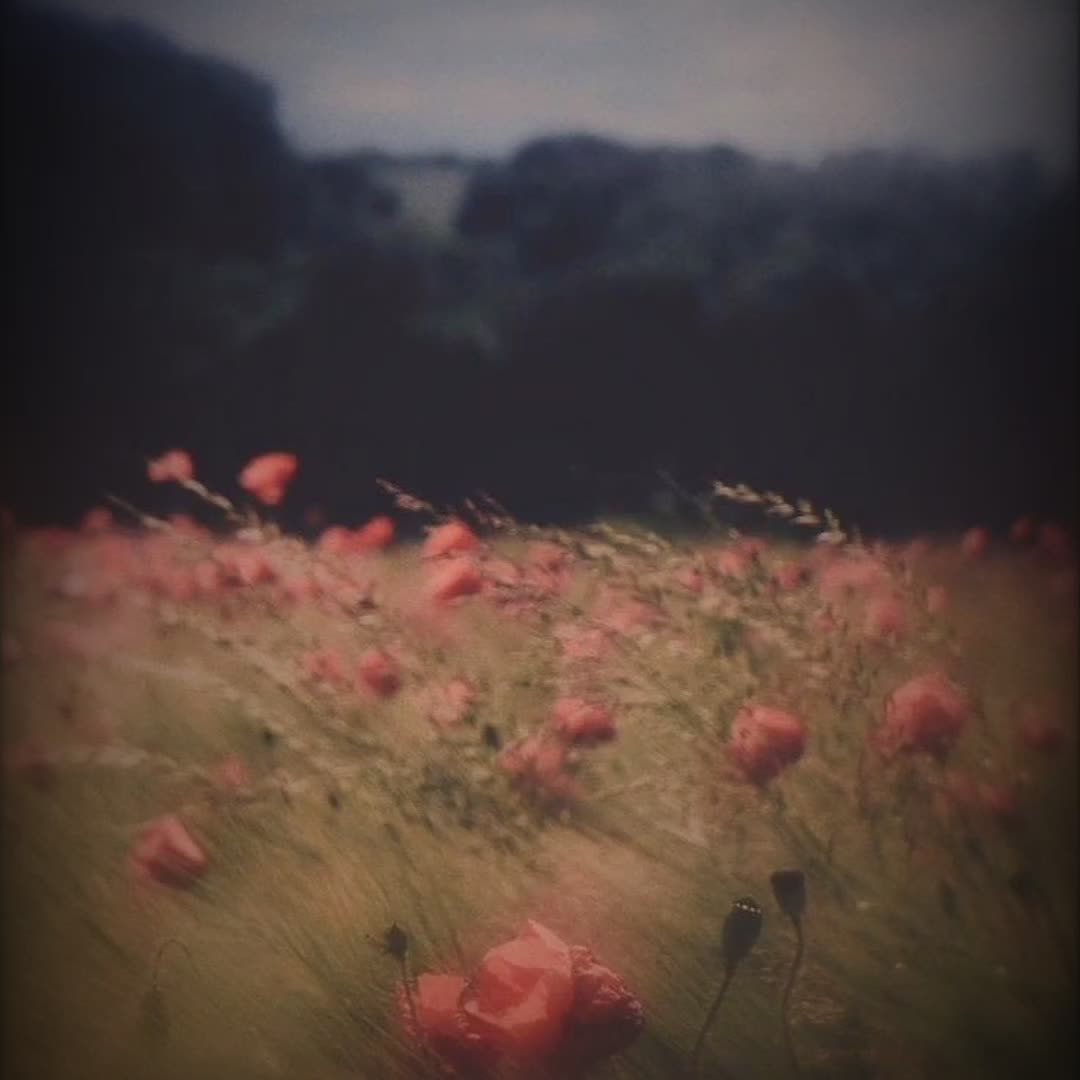 @☆