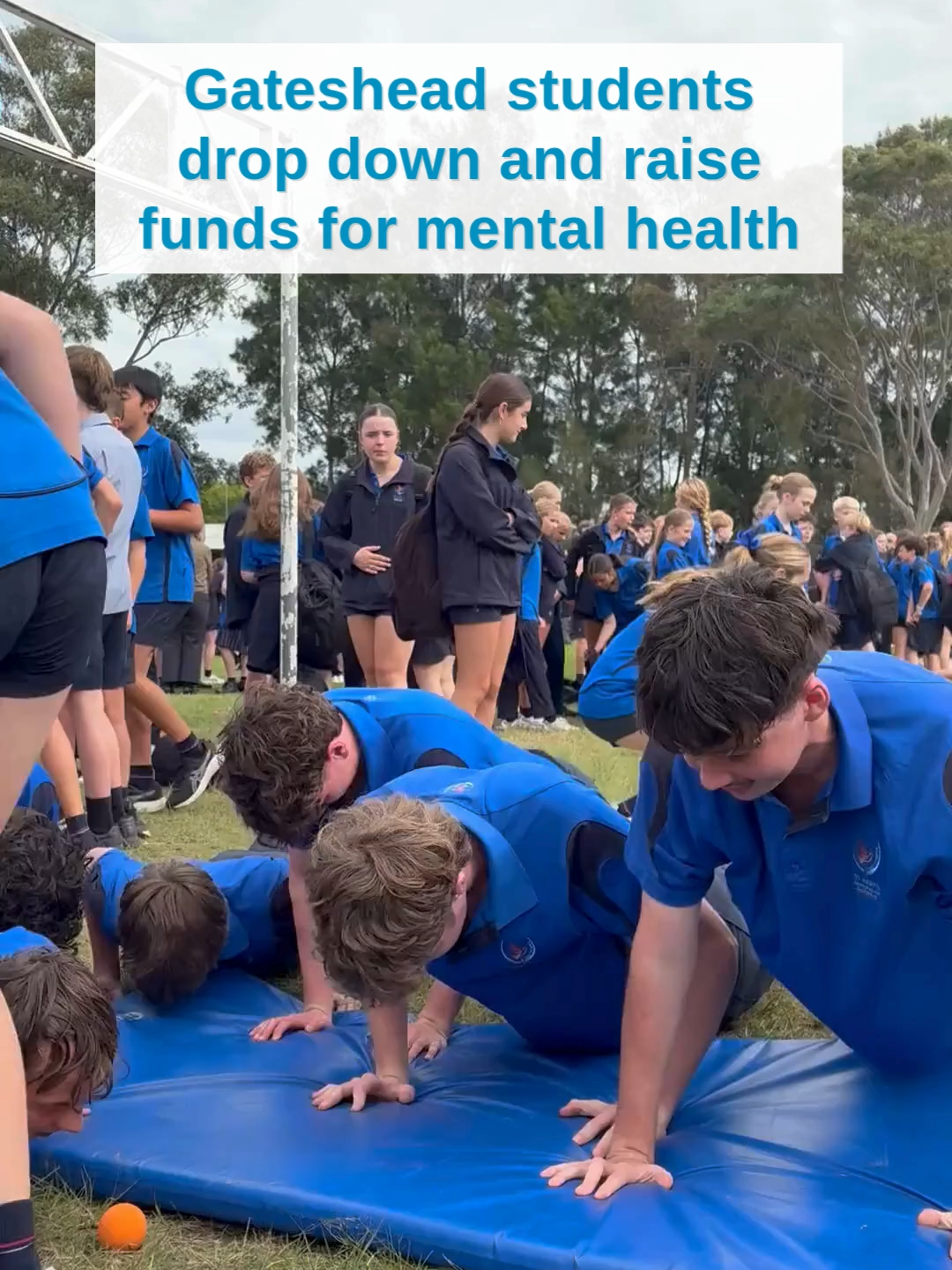 @Newcastle Herald