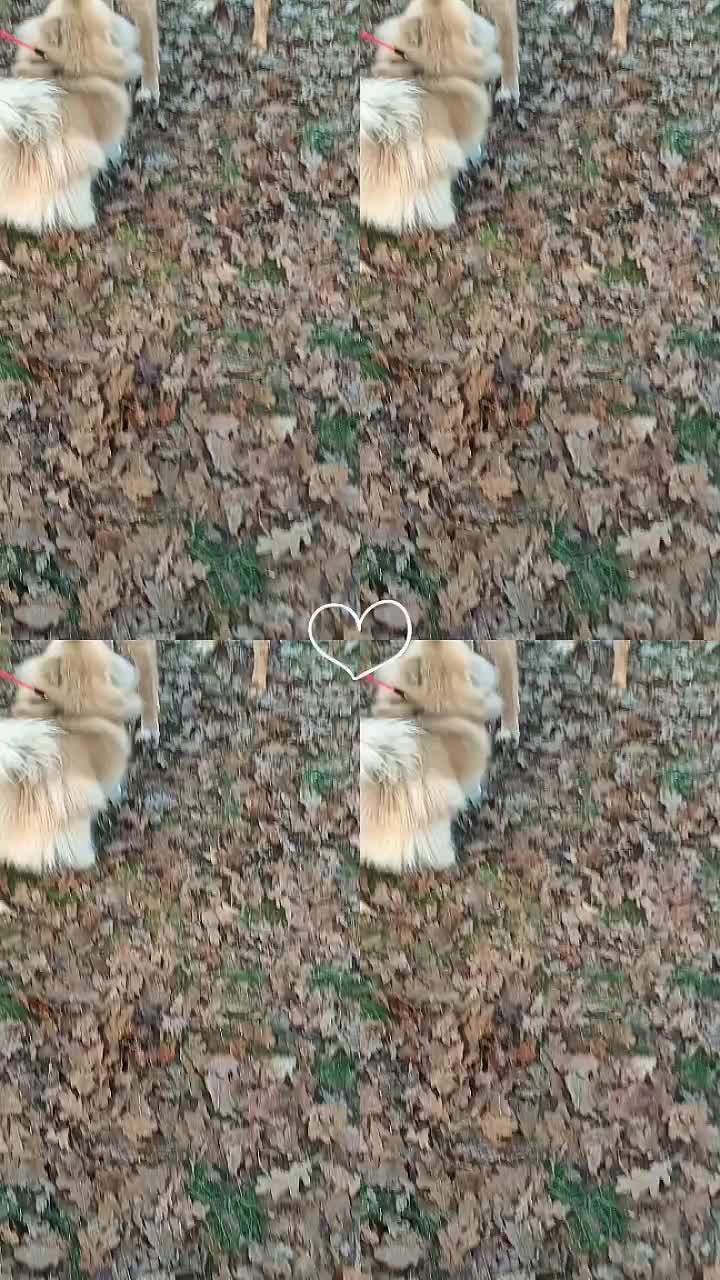@maiky🪽❤️🪽