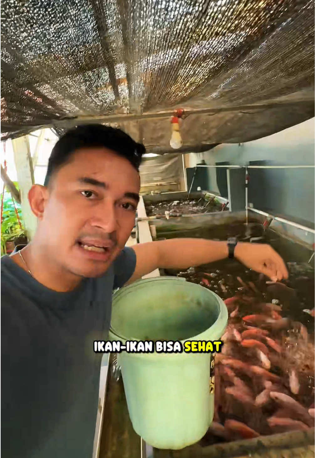 @NilaKu ID