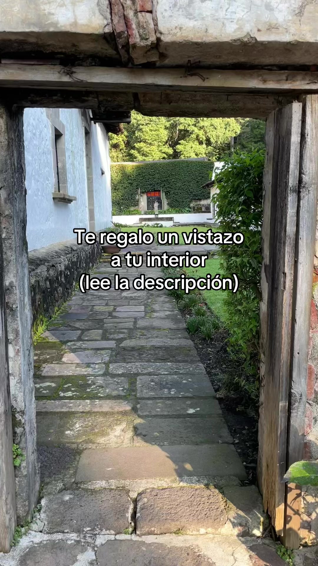 @Shala Múgica