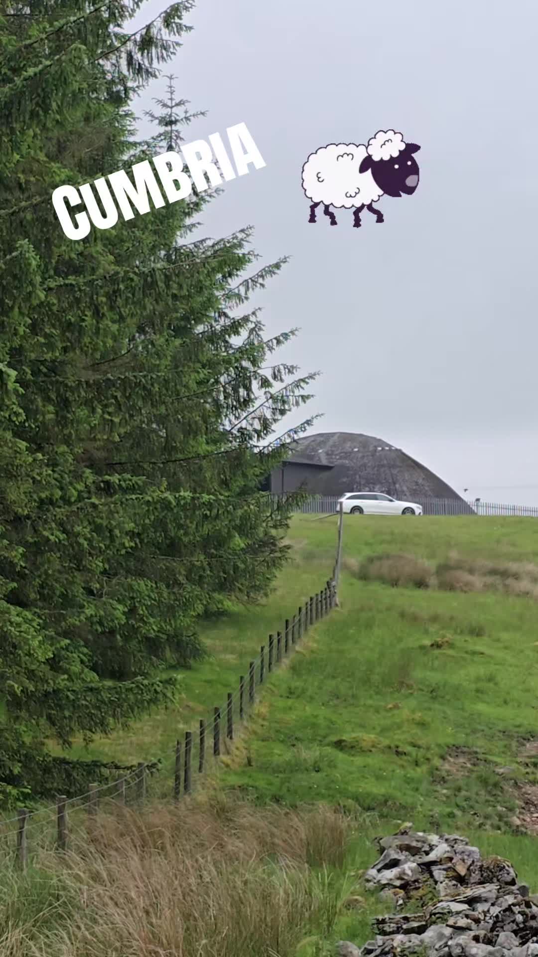 @mariuszmwm
