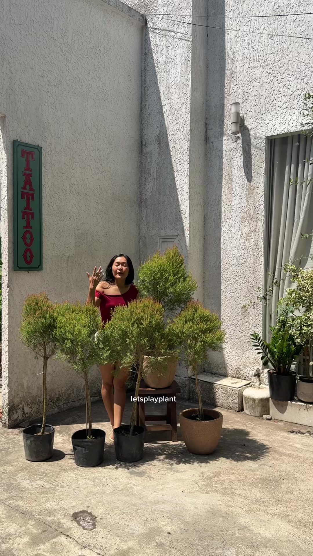 @Tú Nhi - Let's play plant